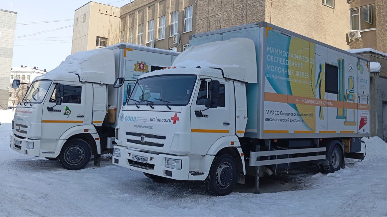 Более 180 сотрудников мэрии Каменска-Уральского прошли проверку состояния организма на рабочем месте